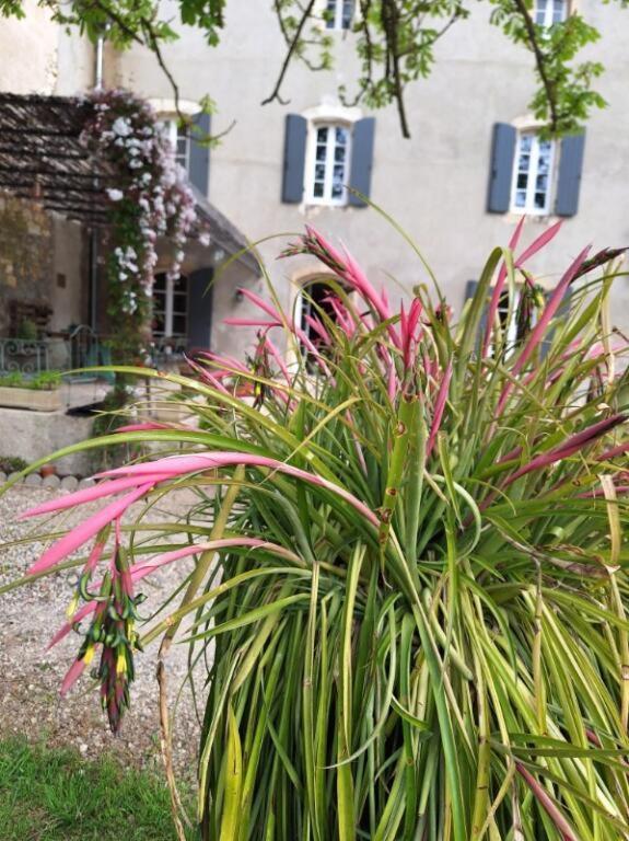 Bed and Breakfast Domaine De Capoulade Narbonne Exterior foto
